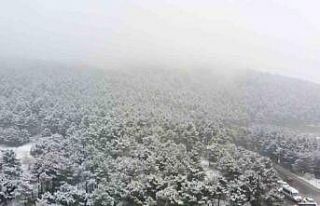 Aydos Ormanı beyaza büründü