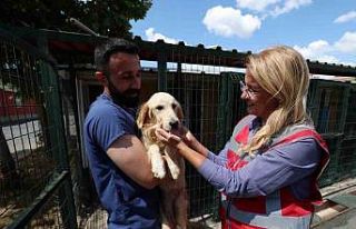 Bakırköy Belediyesi hayvanların yanında
