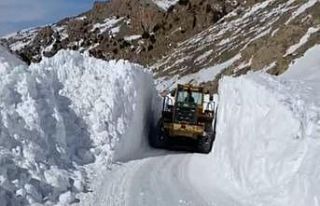 Başkale’de kar yağışı: 50 yerleşim yerinin...