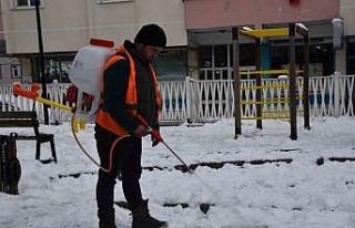 Başkan Türkel: "Ekiplerimiz canla başla karla...