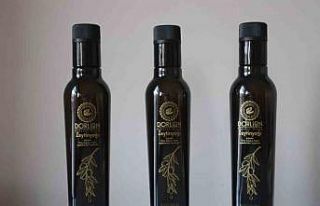 Başkan Ünlüce, "Mihalgazi-Sarıcakaya bölgesinde...