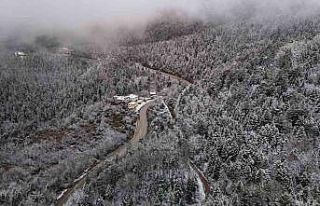 Beyaz örtüyle kaplanan ormanlar dronla görüntülendi