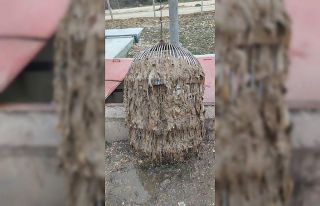 Bilecik Belediyesi’nden tuvalet ve lavabo giderlerine...