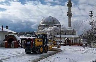 Bilecik’te ekipler tuzlama çalışması yaptı