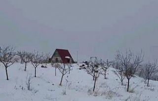 Bin 600 rakımdaki bu evi gören bir daha bakıyor