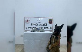 Bingöl’de uyuşturucu madde ele geçirildi, aranan...