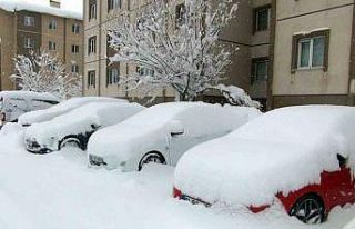 Bitlis kara gömüldü