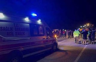 Bitlis’te kaçak göçmen taşıyan tırın gizli...