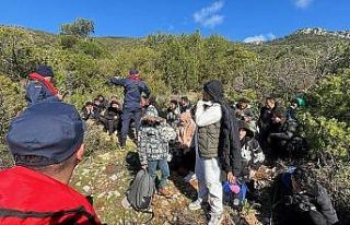 Bodrum’da 45 düzensiz göçmen yakalandı