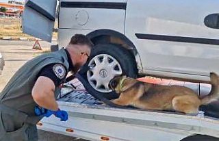 Bolu’da 7 uyuşturucu operasyonu: 11 gözaltı