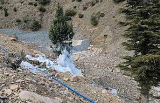 Borudan sızan suyla çam ağacı buzdan ağaca döndü