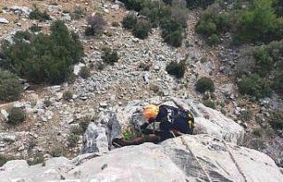 Burdur’da dağlık alanda mahsur kalan keçileri...