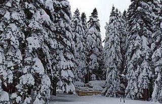 Bursa Uludağ’da kar kalınlığı 1 metreye yaklaştı.