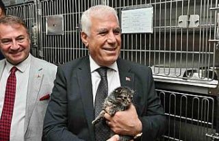 Büyükşehir’den can dostları için önemli proje