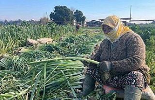 Çalışarak sağlığını koruyor ve ekonomik refahını...