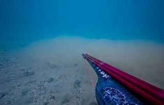 Çanakkale Boğazı’nda müsilajın deniz dibindeki...