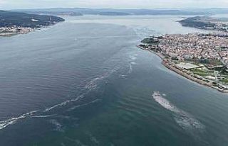 Çanakkale Boğazı’nın kabusu müsilaj 5 yıl...