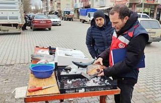 Çavdarhisar’da balık satış yeri denetimleri