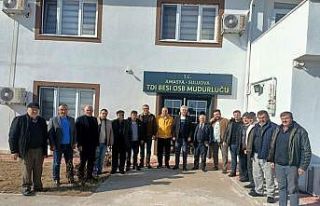 Çaycuma’da manda yetiştiriciliği için araştırma...