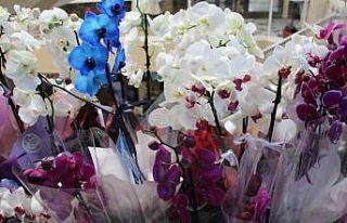 Çiçekçilerde Sevgililer Günü telaşı: Aşıklar...