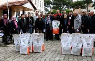 Çiftçilere yüzde 75 hibeli ayçiçeği tohumu desteği