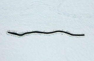 Çıldır Gölü’nde adrenalin dolu gösteri