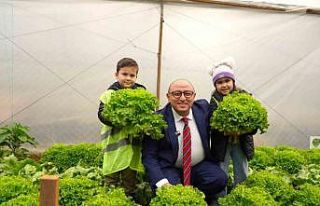 Çocuklar, serada yetiştirdikleri ürünleri hasat...