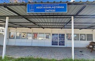 Davutlar Mahallesi’ne kedi kısırlaştırma merkezi...