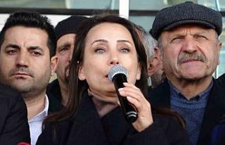 DEM Parti’li Hatimoğulları: "Bu diyalogun...