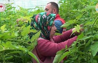 Denizlili çiftçiye 1 milyar 241 milyonluk can suyu