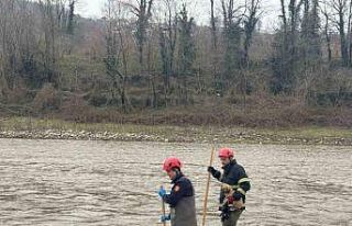 Dere yatağında mahsur kalan yavru köpek kurtarıldı