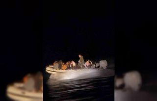 Didim’de 20 düzensiz göçmen yakalandı: 1 gözaltı