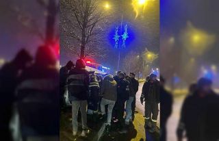 Direksiyon hakimiyetini kaybeden otomobil ağaca çarptı