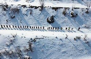 Diyarbakır’da doğaseverler karlı yollarda İtalyanların...