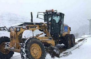Diyarbakır’da karla mücadele çalışmaları sürüyor