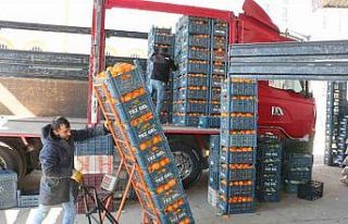 Diyarbakır’da soğuk hava sebze ve meyve fiyatlarını...