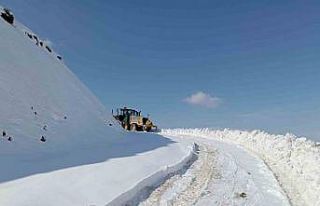 Diyarbakır’ın iki ilçesinde karla kaplı yollar...