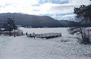 Doğa harikası Abant Gölü buz tuttu