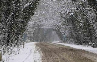 Doğal ağaç tünel kar yağışı sonrası kendisine...
