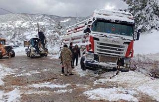 Doğalgaz tüpleri taşıyan tır şarampole yan yattı