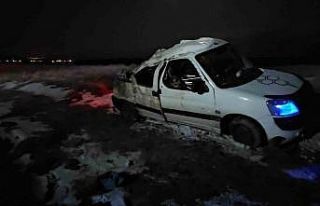 Domuz sürüsüne çarpmamak için manevra yapan kamyonet...