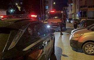 Edirne’de baca yangını korkuttu