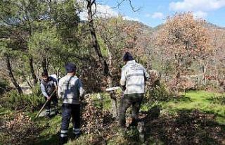 Efeler’den Gölcük Mahallesi mezarlığında kapsamlı...