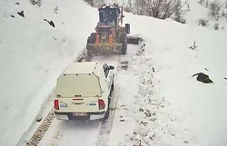 Ekipler elektrik kesintisi yaşanan köy için seferber...