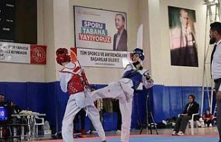 Elazığ’da gençler taekwondo müsabakaları yapıldı