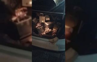 Elektrik dağıtım şirketlerini milyonlarca lira...