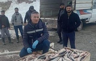 Erçek Gölü’nde kış balıkçılığı devam...