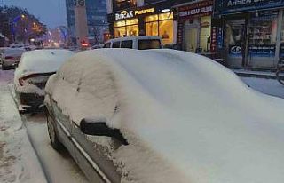 Erciş’te kar yağışı etkili oldu