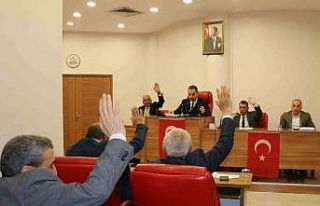 Erzincan İl Genel Meclisi Şubat ayı toplantısı...