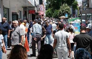 Erzincan nüfusu 241 bin 239 kişi oldu